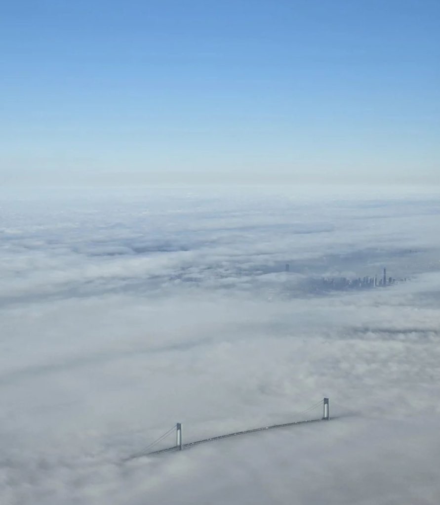 Rick Paulas tweet media