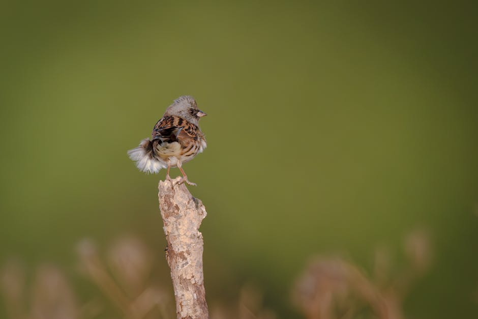 รับงานเพชรบุรี tweet media