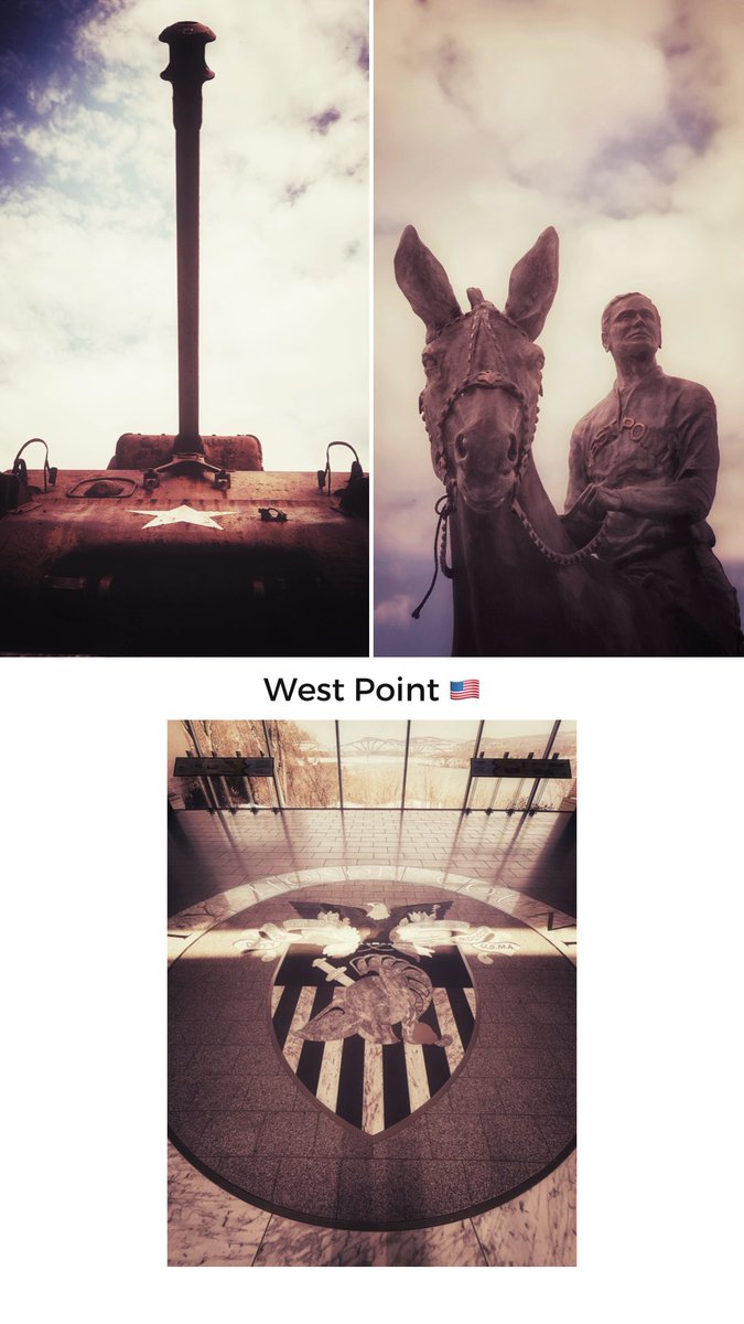 Mark A. Carruthers tweet media