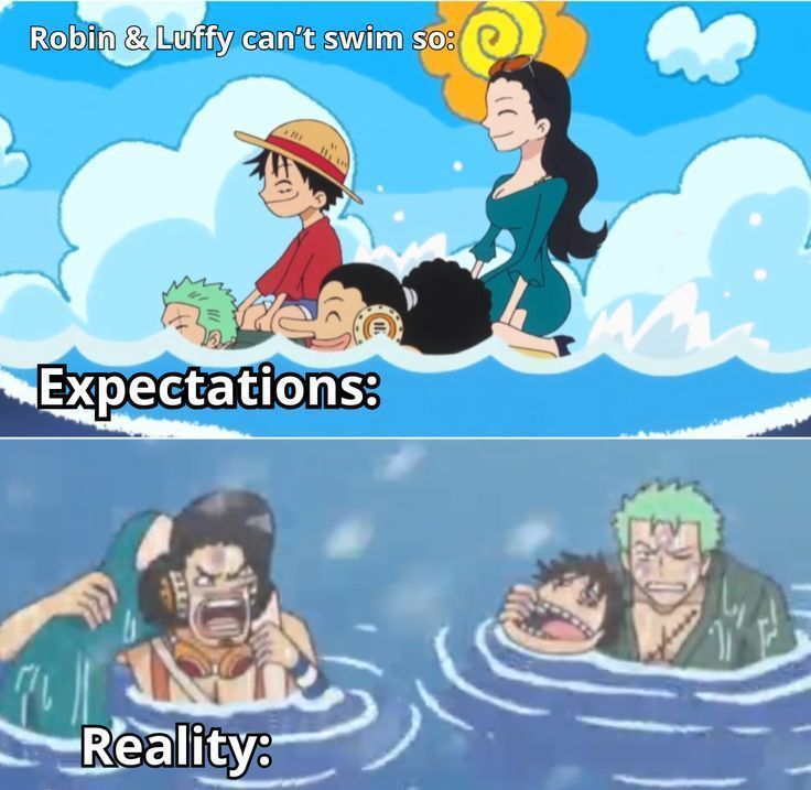 strawhats's tweet photo. 😂 https://t.co/gMof54oYqZ