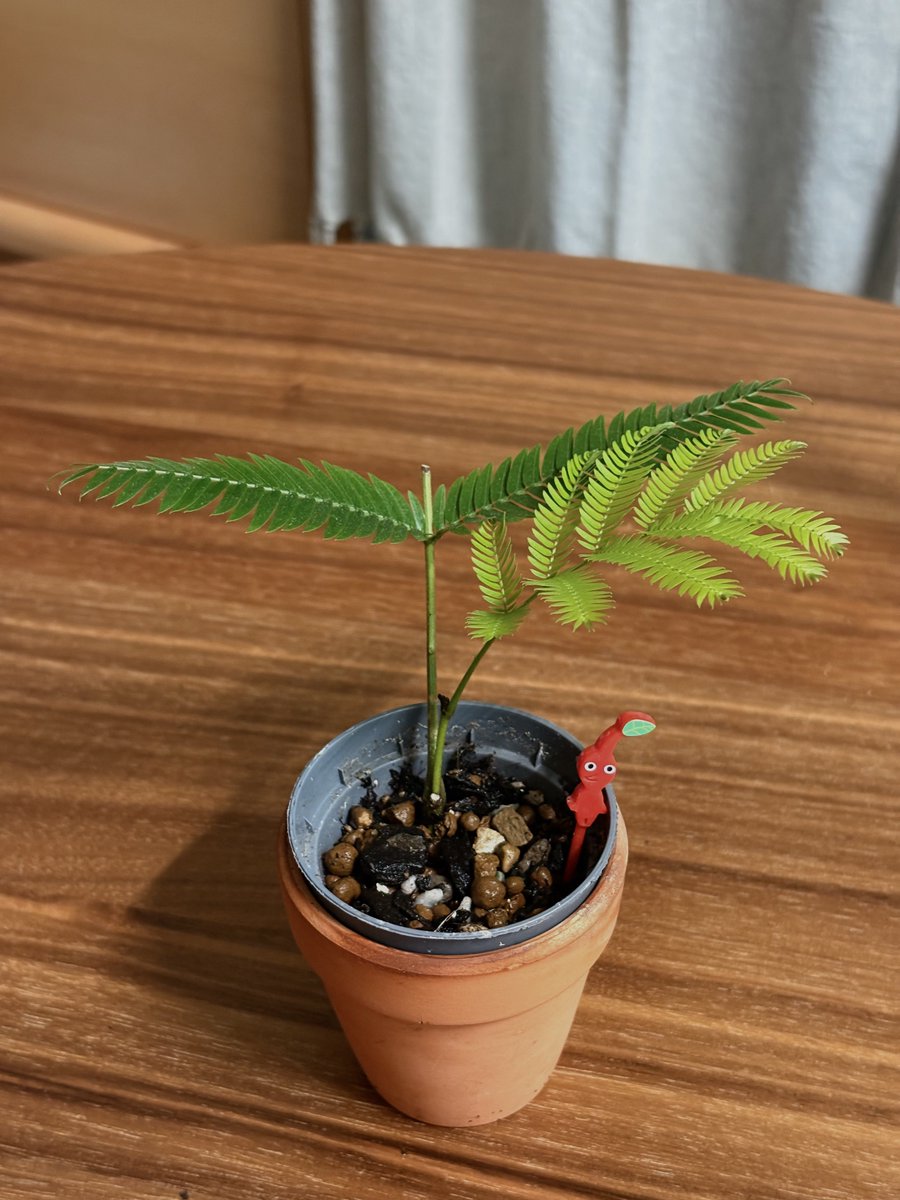 喵倫MeowRon tweet media