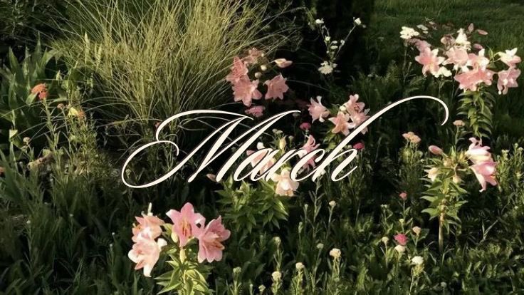 🌸 My fav month. 🌸