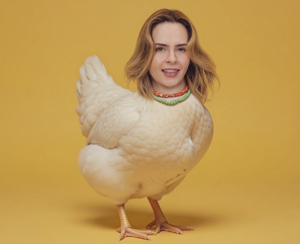 pitderacaruf's tweet photo. Alguém ficou de fora do paredão falso, né? KKKKKKKKKKKKKKKKKKKK #BBB26 https://t.co/fxlpuKGoey