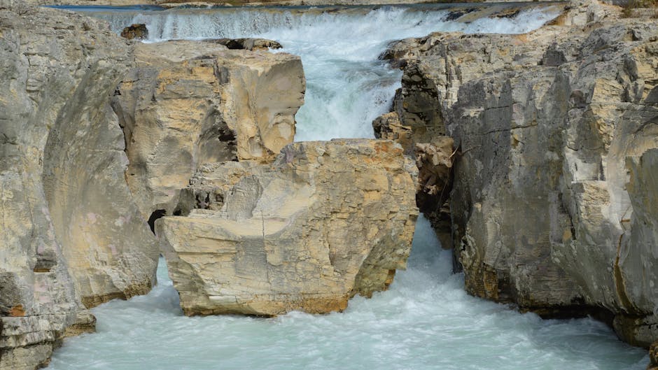 Knabe Jeffery tweet media