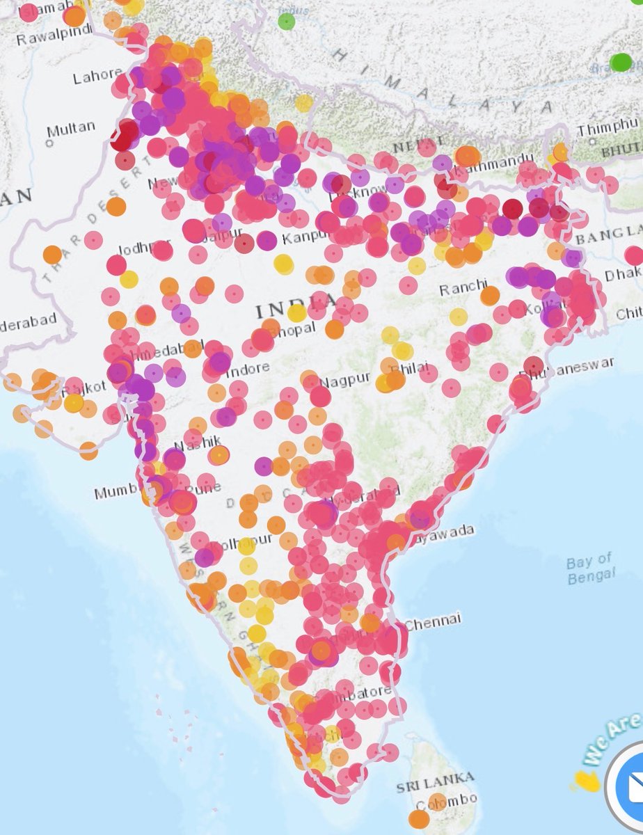 Elon, always the dumbest motherfucker in the room tweet media
