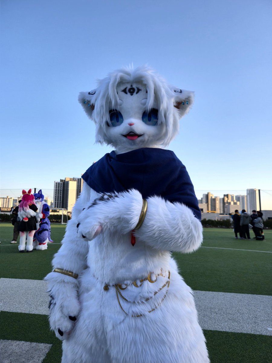 호산달 tweet media