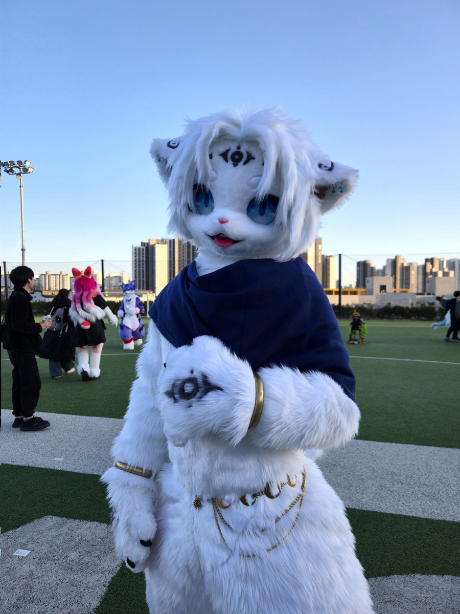 호산달 tweet media