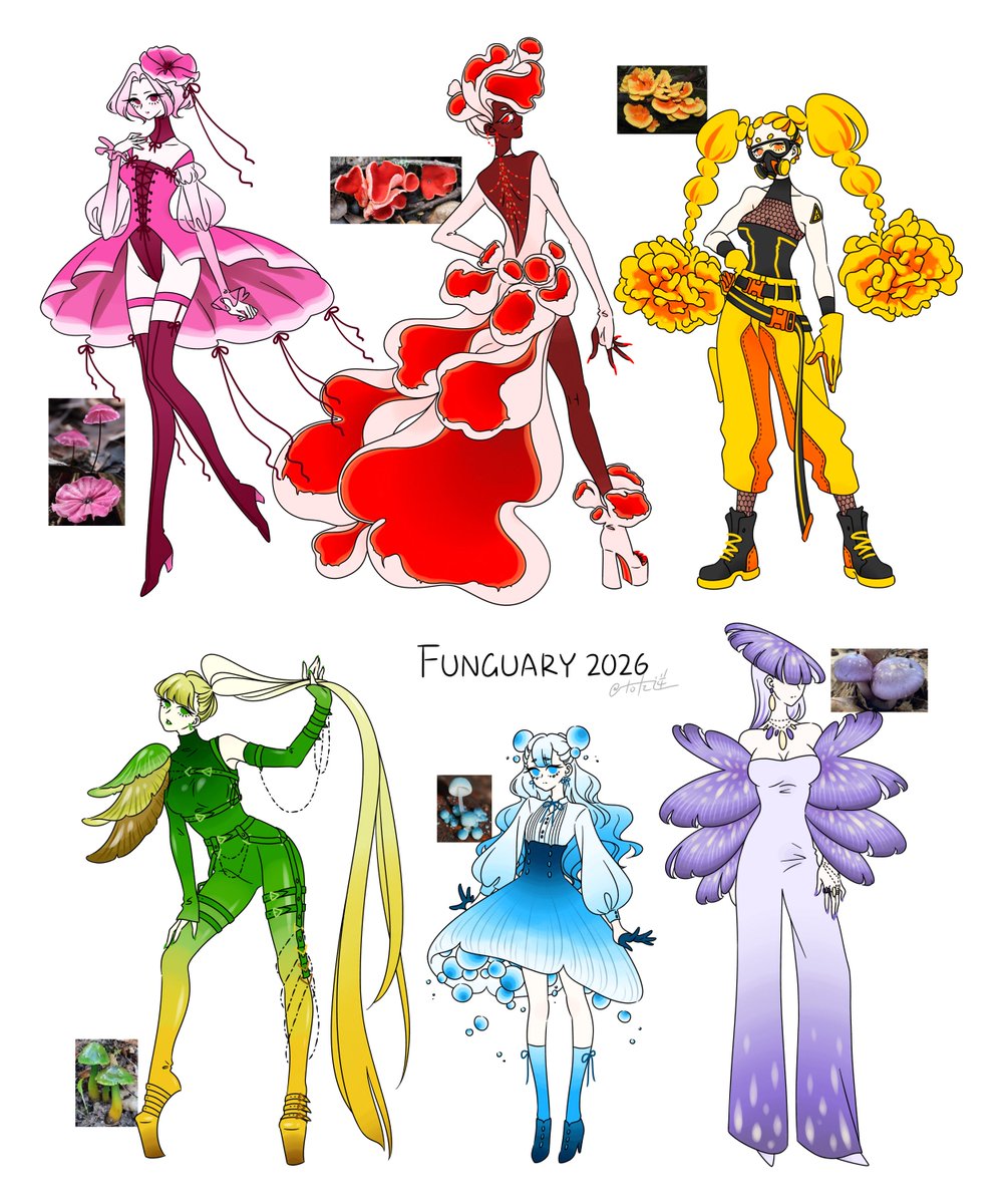 右左逆 tweet media