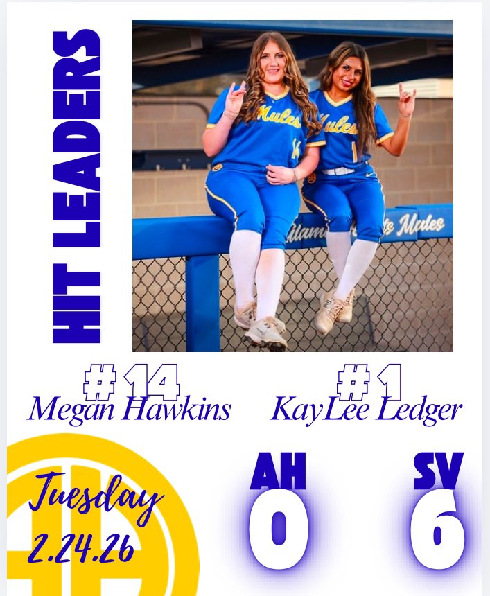 AHHS Softball tweet media