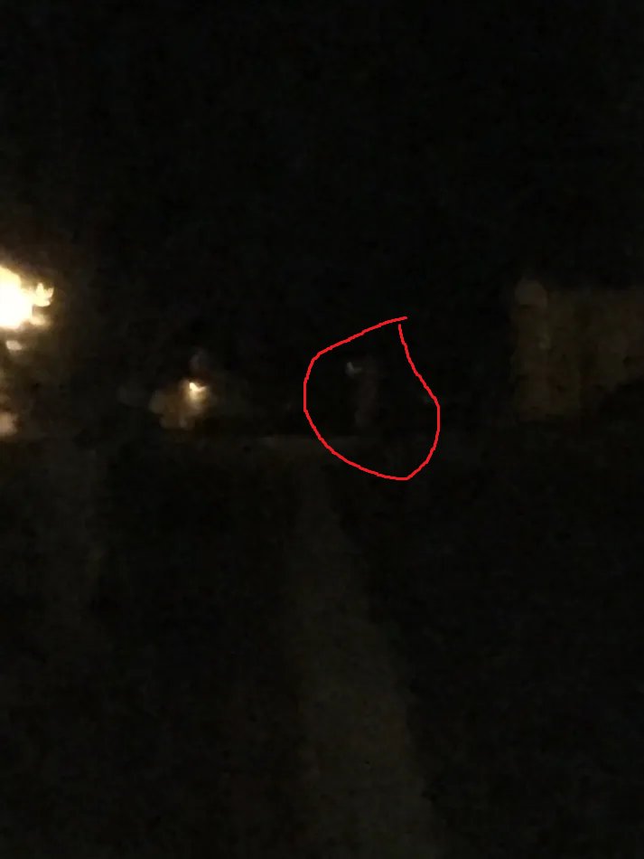 RealGalaticWolf's tweet photo. For those who can't see it by the way. https://t.co/54qO5Un6rb