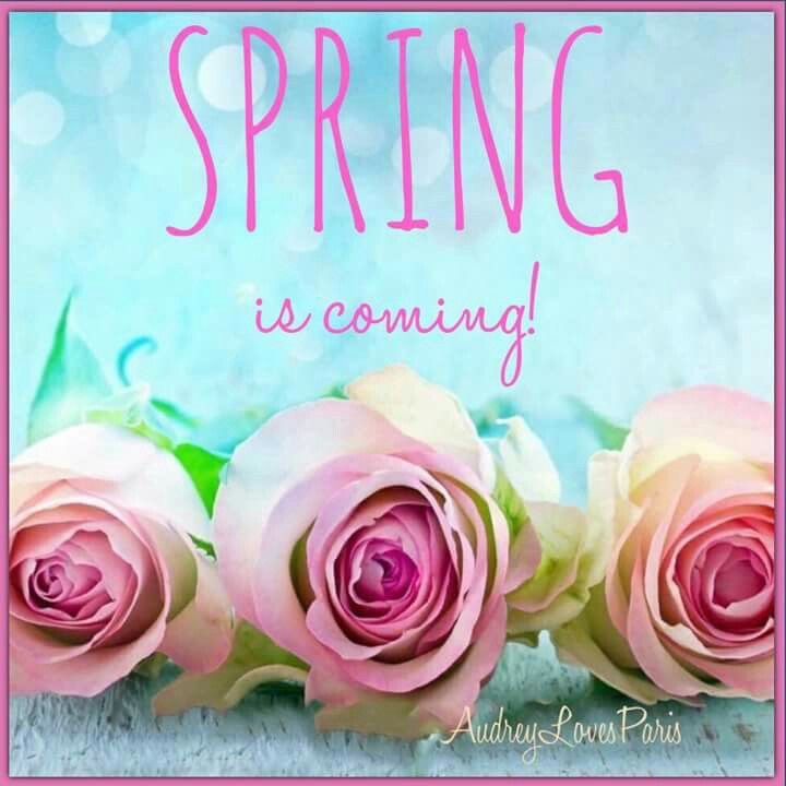 vjones84280022's tweet photo. @Lillianna277 @Leslie_2348 @bearski55 Good Sunday evening Lil, et al. #HappyMarchFirst to all. We had a decent day of temps in 40s some ☀️. Stayed in today and relaxed ☺️. Having a @MaryMcdonnell10 🎞️ and 📺 festival . Started out with #PassionFish, now watching #MajorCrimes tv series. Wishing all a good 🌇.
☕️🍷 https://t.co/OVyz75rfgZ