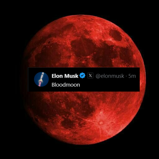 Blood Moon #SOL (@bloodmoon_sol) / Posts / X