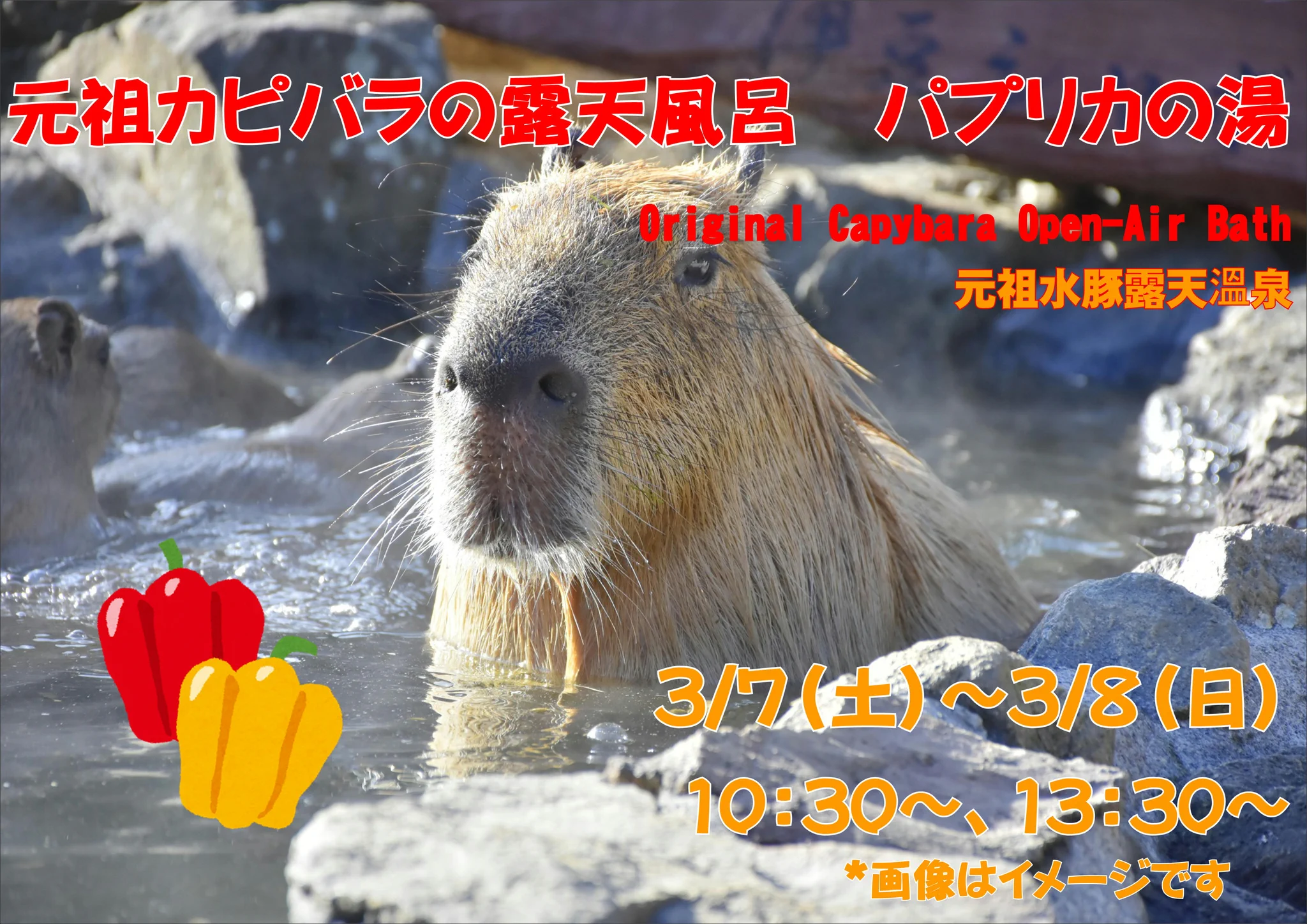 伊豆シャボテン動物公園公式ツイッター (@izushabotenpark) / X