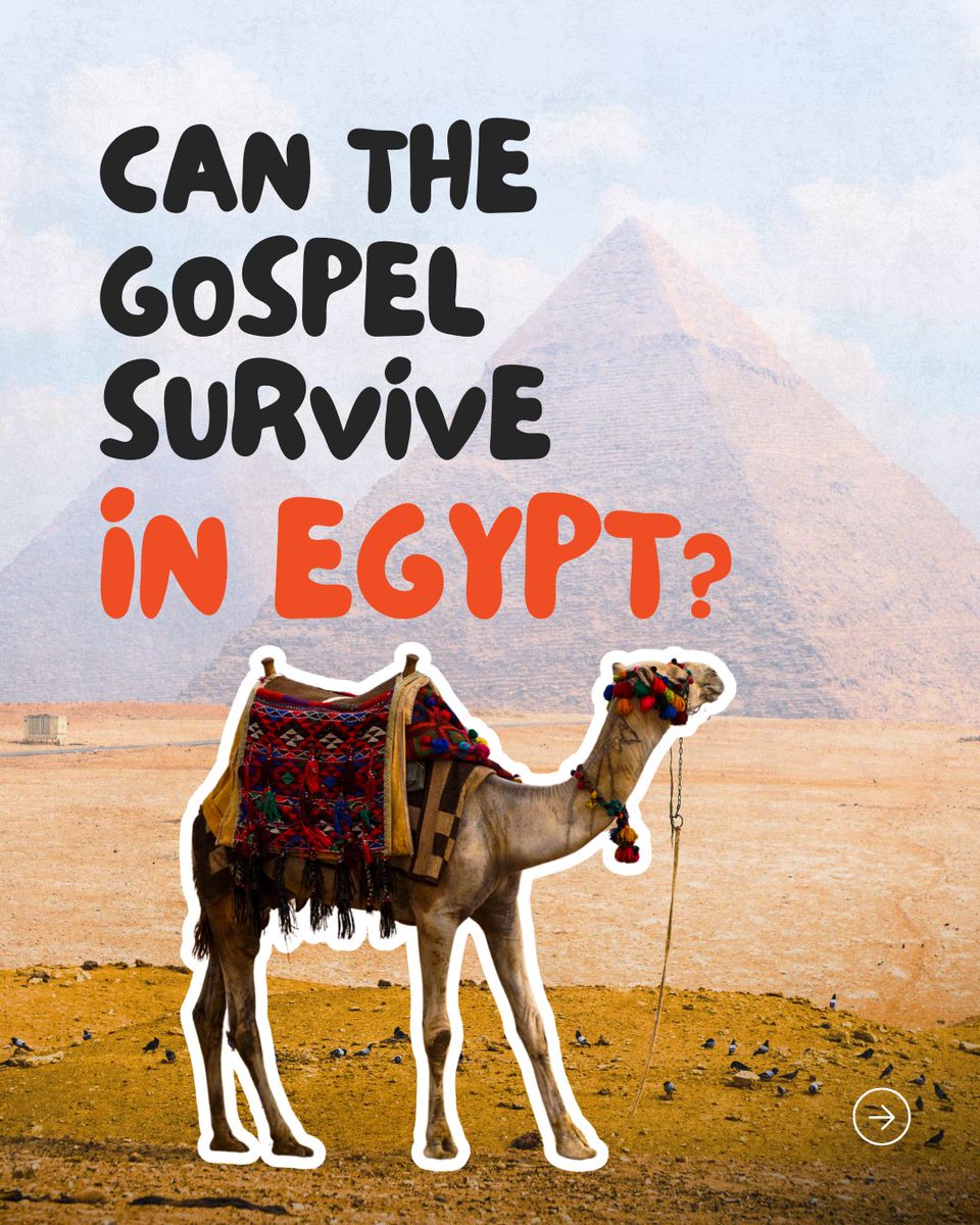 Indigitous tweet media