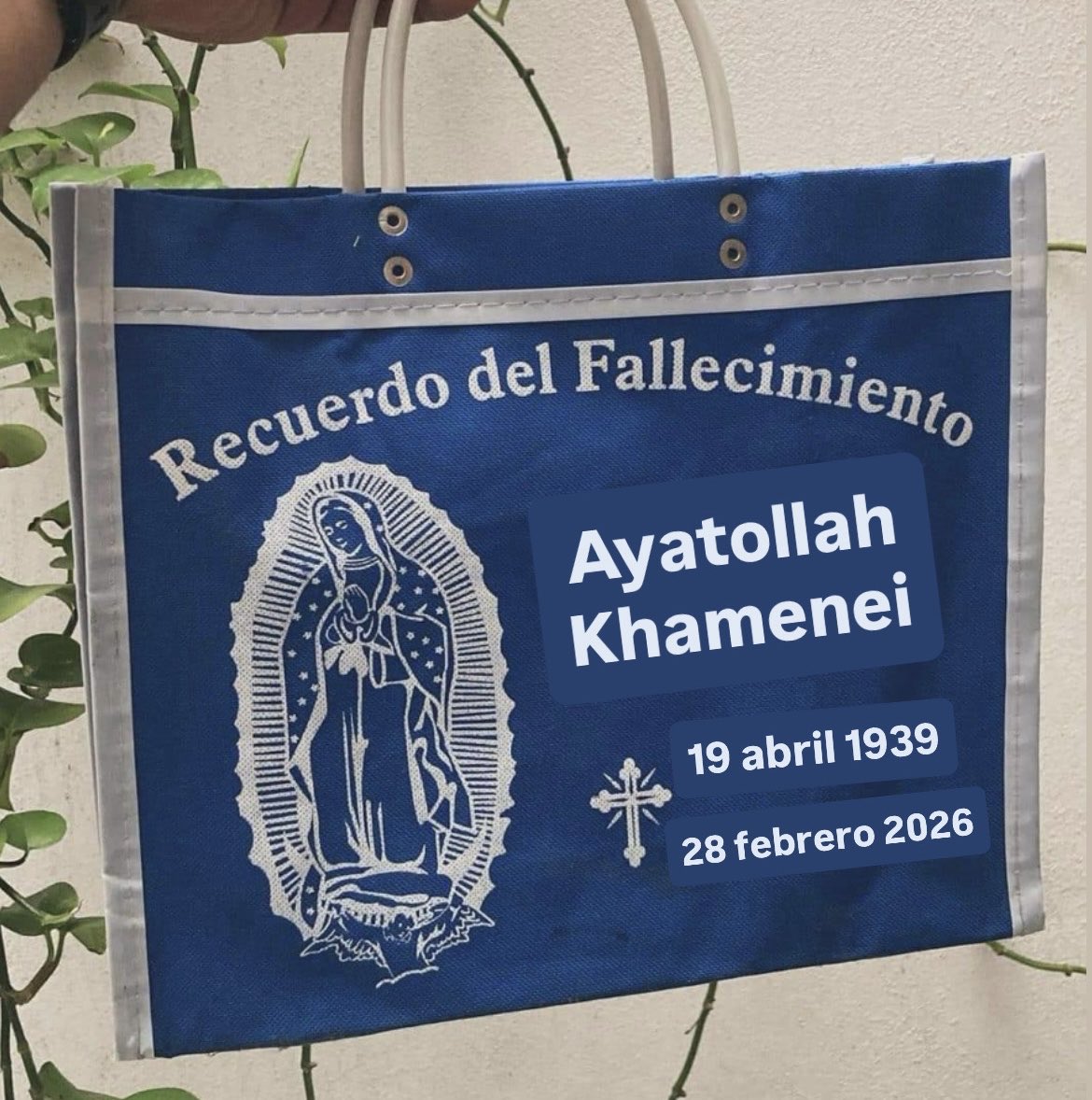 Ojalá den de estas 🙏🏽