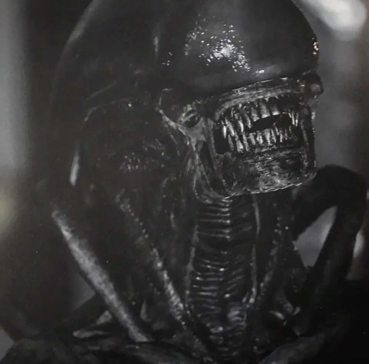 amalgamatomaton tweet media