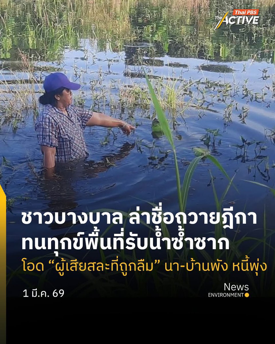 Peerapat tweet media