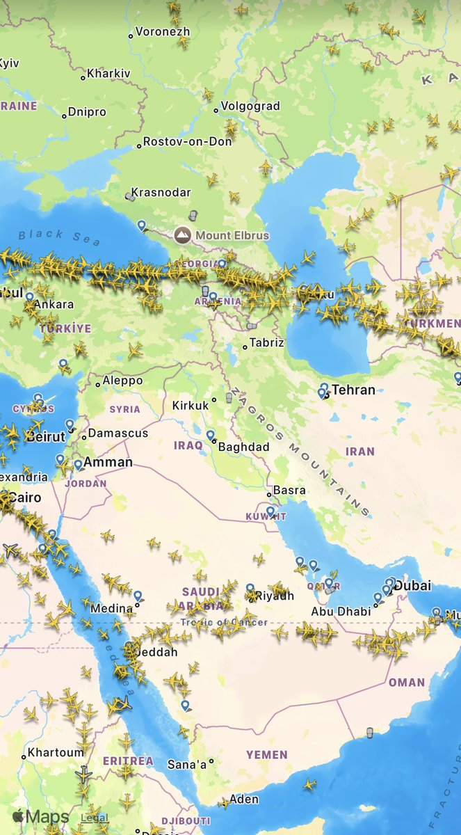 Malek 🐨 tweet media