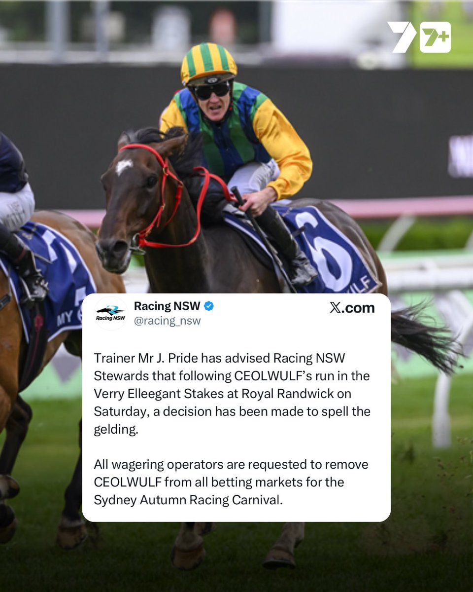 7HorseRacing 🐎 tweet media