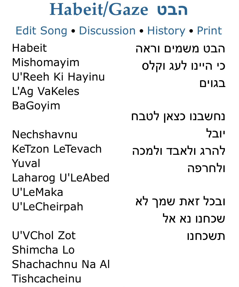 Yechiel Shaffer tweet media