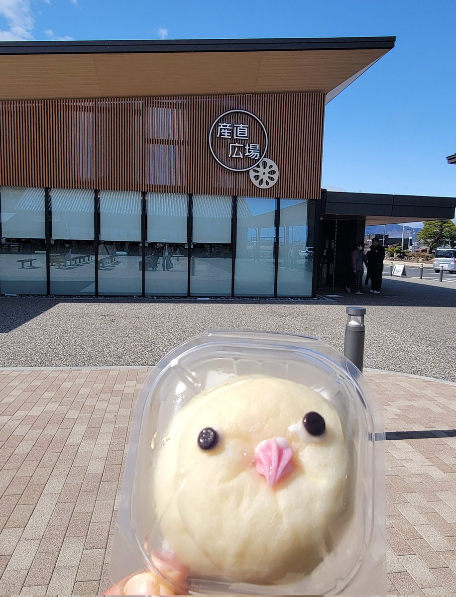 おぱーりん🎵 tweet media