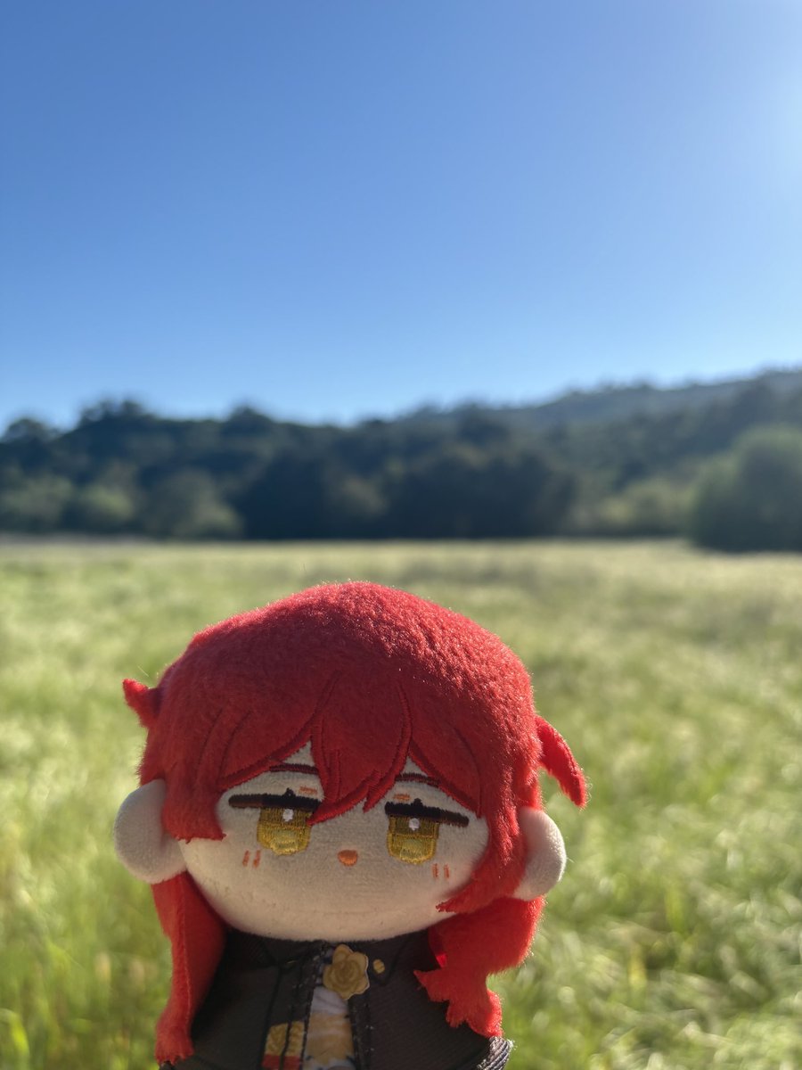 timely himmy tweet media