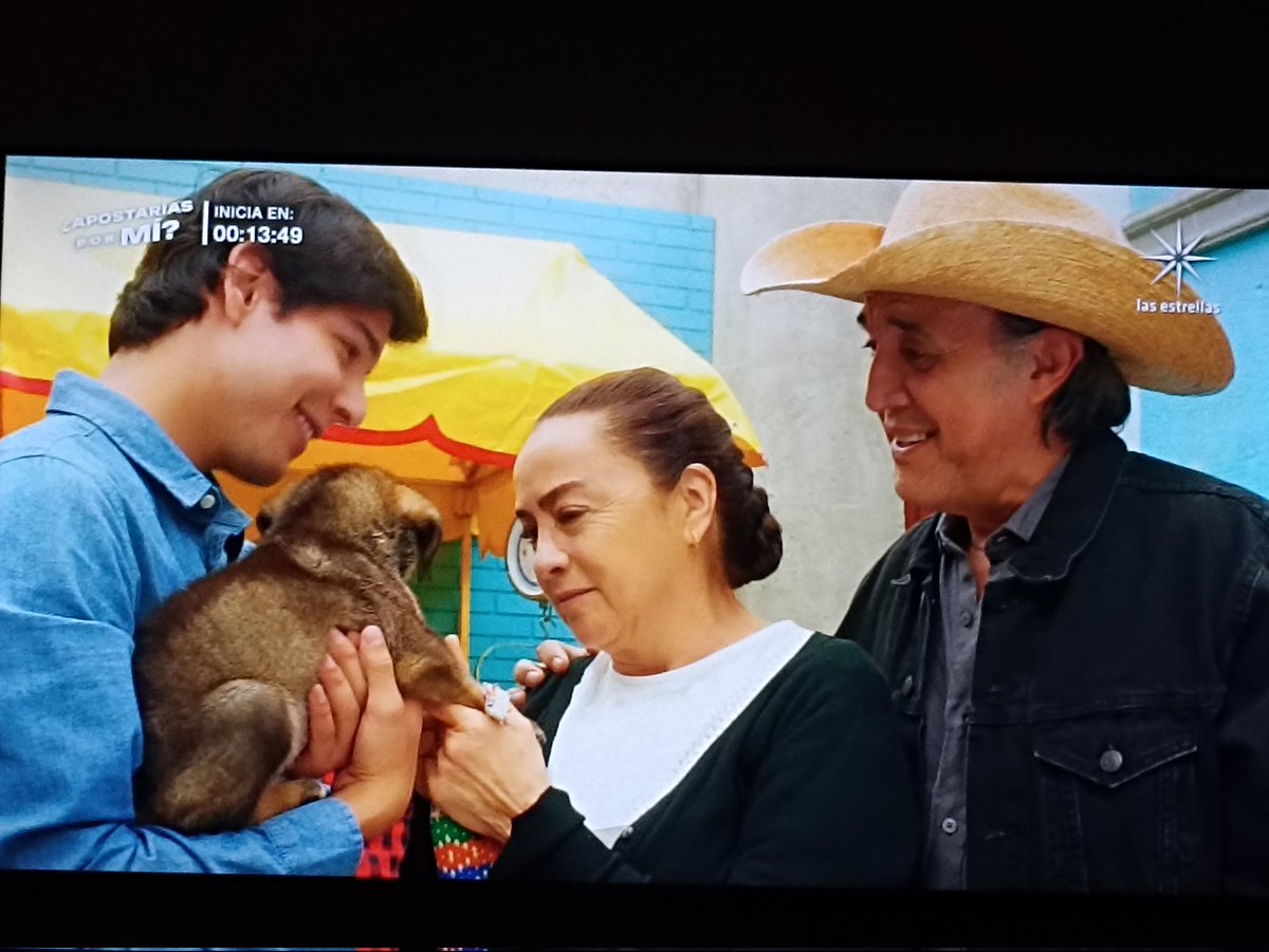 fansandrespalacios tweet media