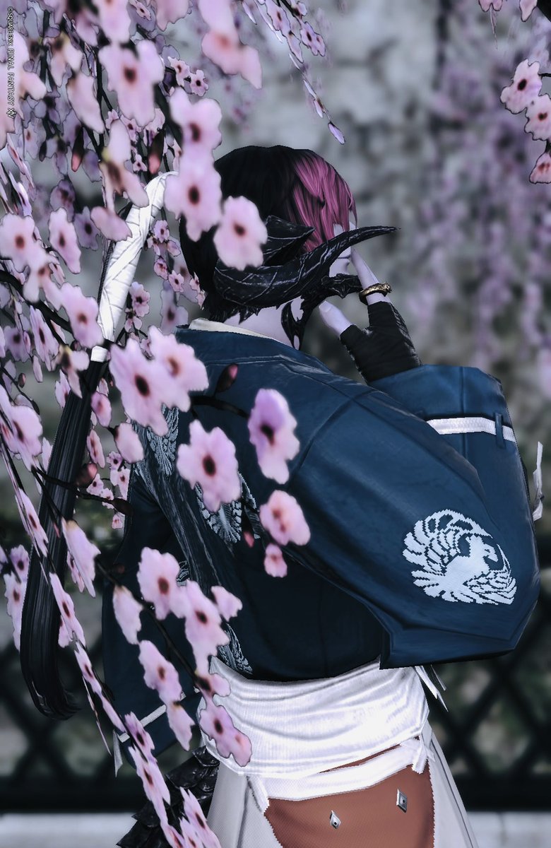 Chako_B_Devil's tweet photo. プリンセスデーで手に入る枝垂れ桜は
写真映えするな
ハウス持ってる方はぜひ持っとくといい
@ SQARE ENIX https://t.co/oLHZqhFi71