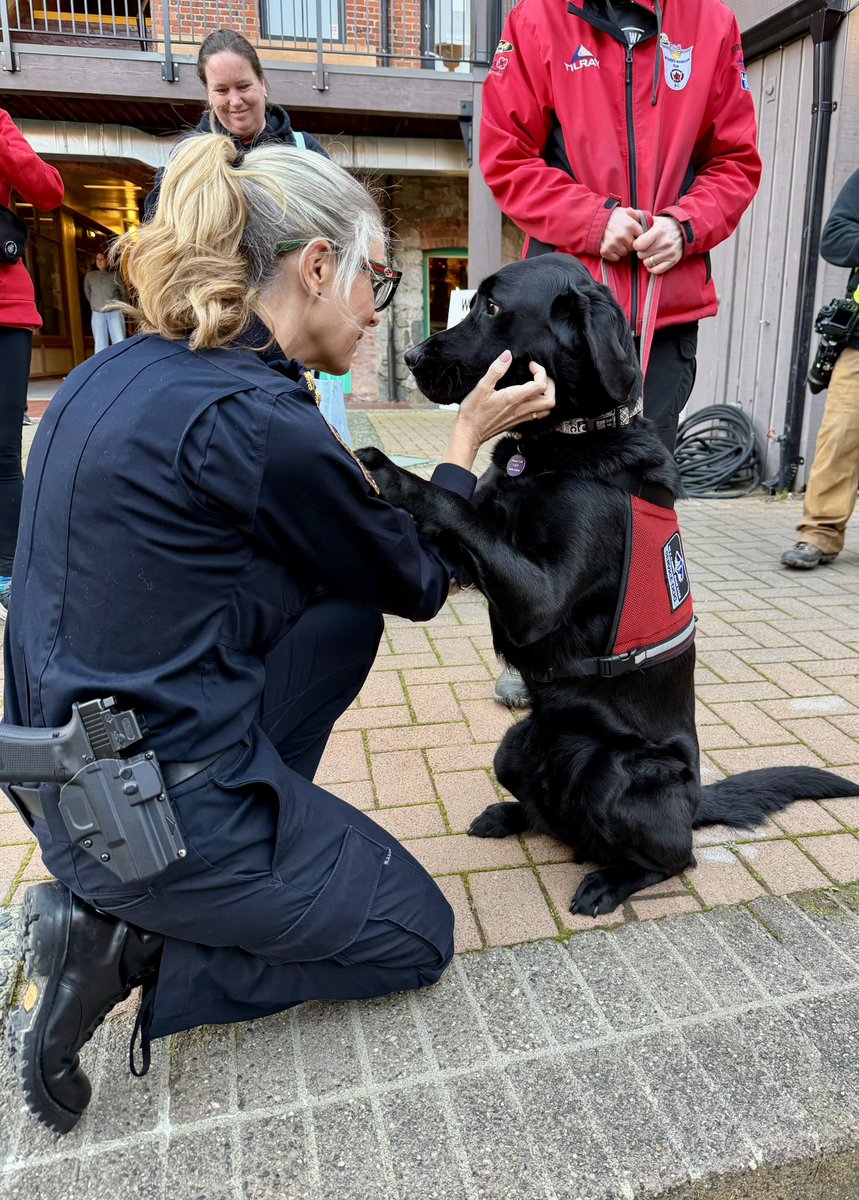 Fiona Wilson tweet media