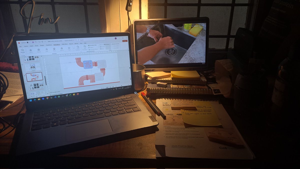 Netra Krishna tweet media