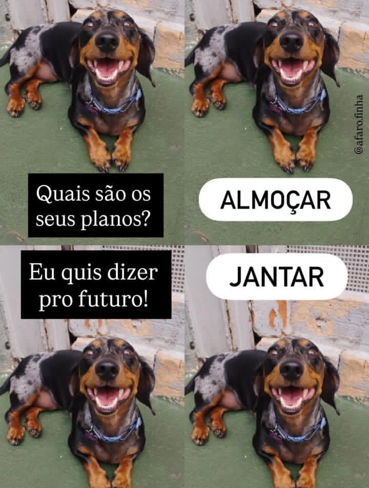 sobreteucaos's tweet photo. https://t.co/7LMKiwZKNI