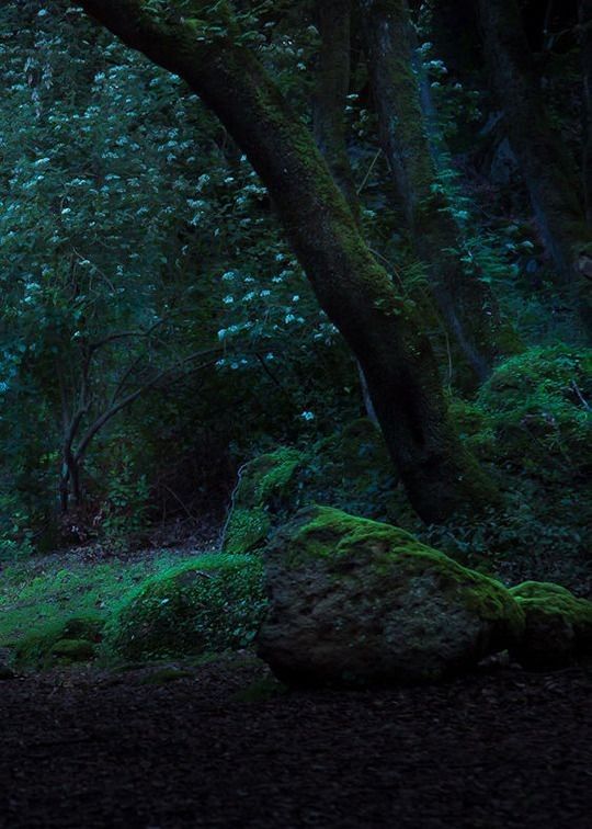 𝕰𝖑𝖊𝖒𝖒𝖎𝖗𝖊 tweet media