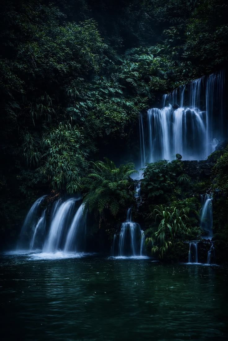 𝕰𝖑𝖊𝖒𝖒𝖎𝖗𝖊 tweet media