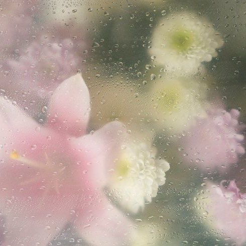 zethie .𖥔 ݁ ˖ tweet media