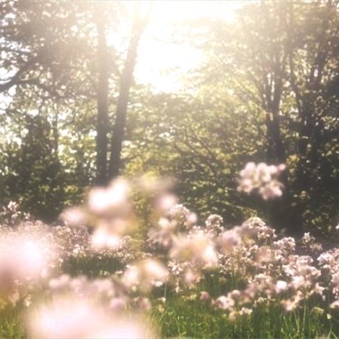 zethie .𖥔 ݁ ˖ tweet media