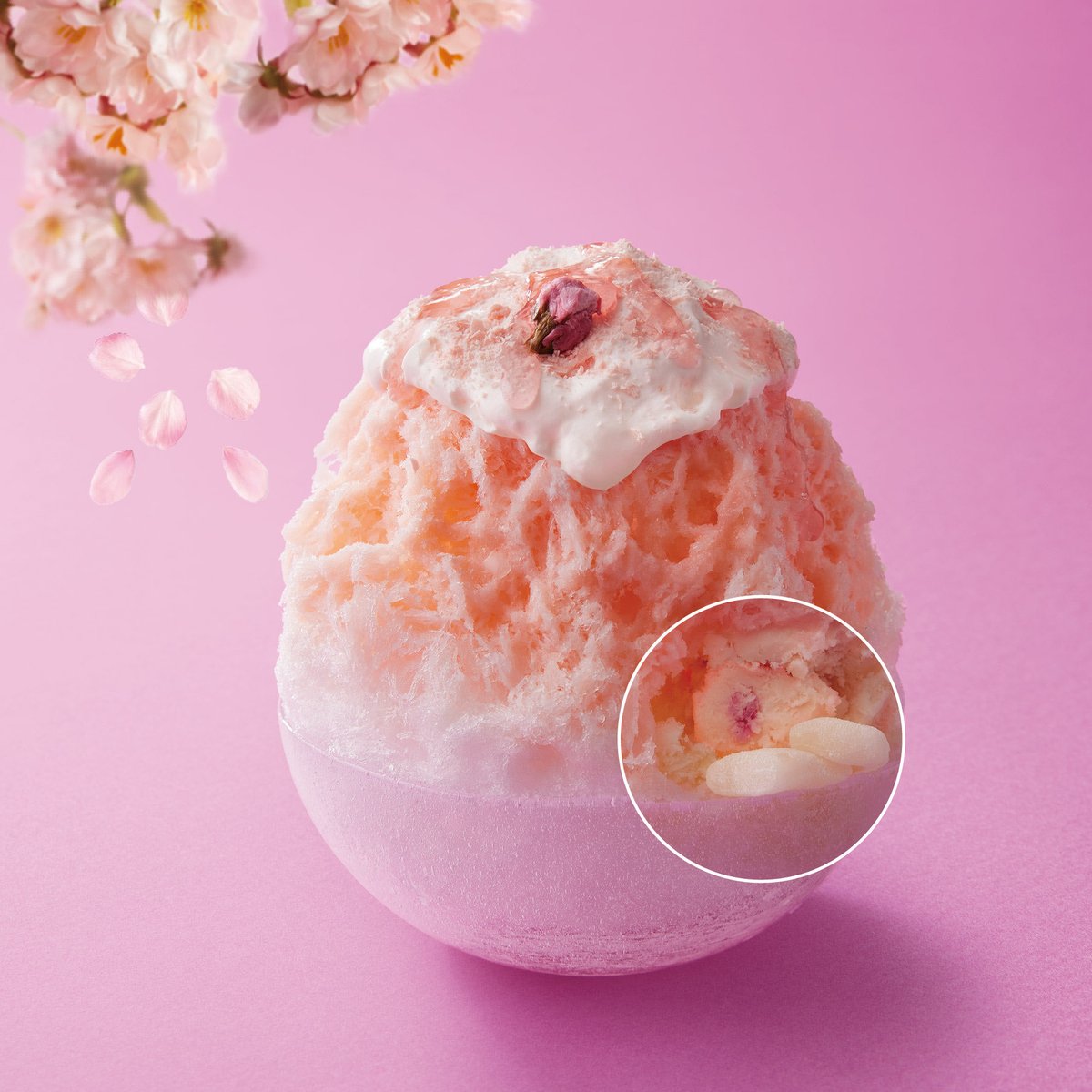 期間限定】🌸3月5日(木)〜🌸 『天然水の削り氷 桜もちみるく