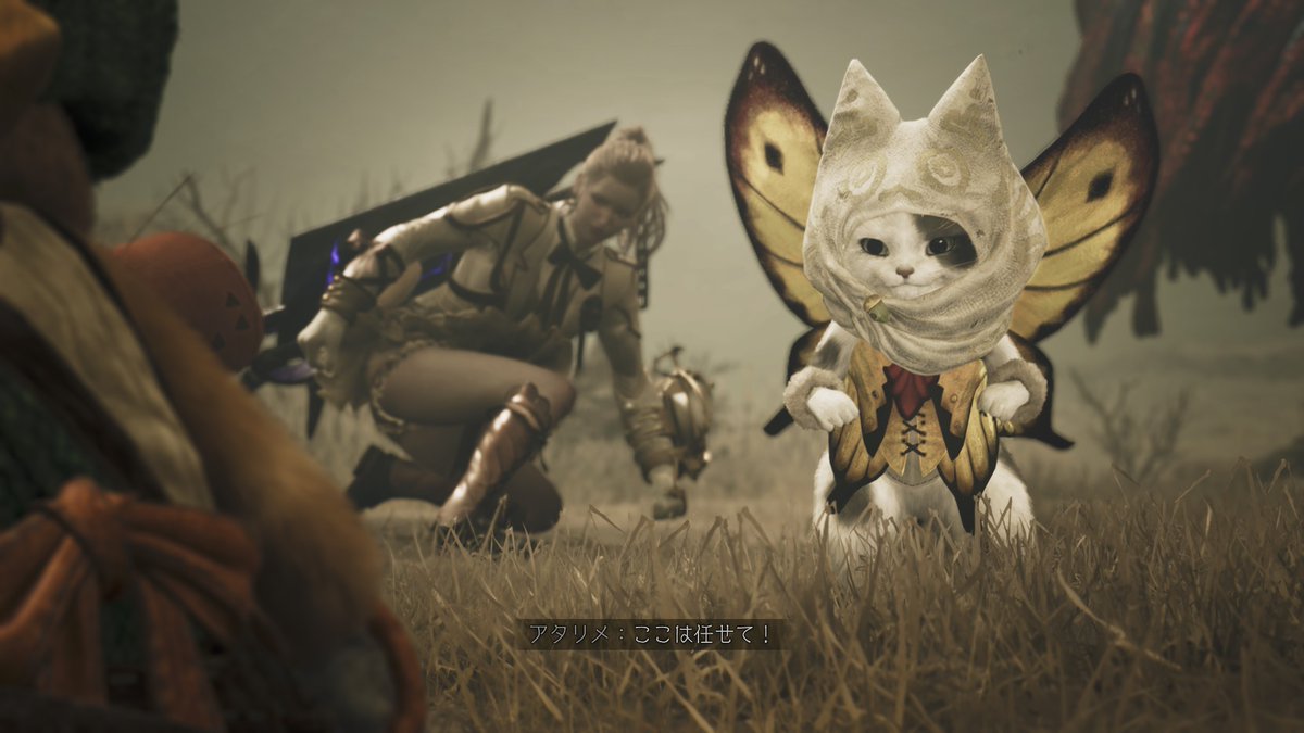 めぐ(えもん)🥕 (@panmegu920) / Posts / X