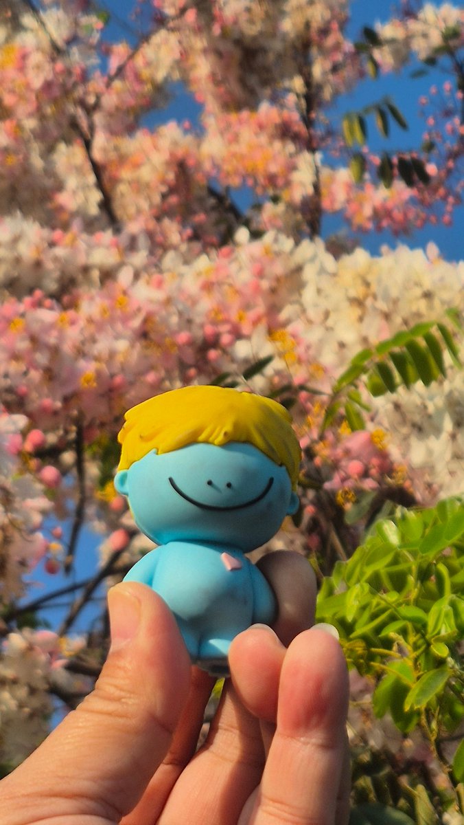 🐽LynLin❤พี่โชคอยู่ตรงนี้ นะจ้านะจ้า tweet media