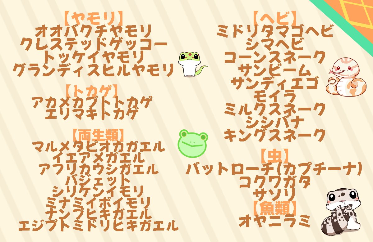 【お昼ゆる報☀️】
みんなからのオトモPR企画、種類分けするとこんな感じ😘

たくさんたくさんありがとう3/7が楽しみなのじゃ*.(๓´͈ ˘ `͈๓).*

でもこうみえてヤモリVTuberなので、もうすこーしヤモリちゃんをPRしてくれてもいいんだよっ🤣
3/4まではゆる募してますのじゃ🎶
#はちゅに推すすめのオトモ