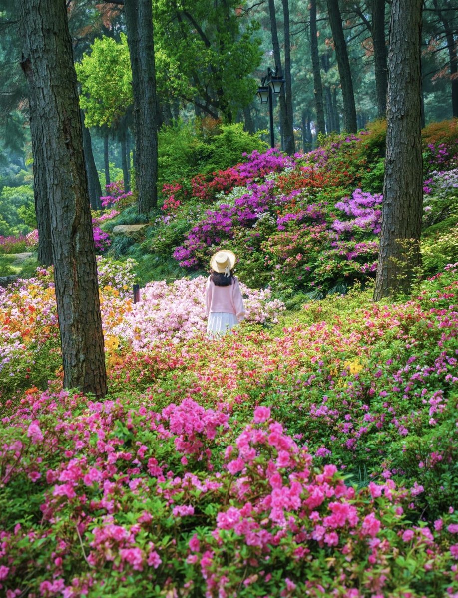 Rika酱（互fo） tweet media