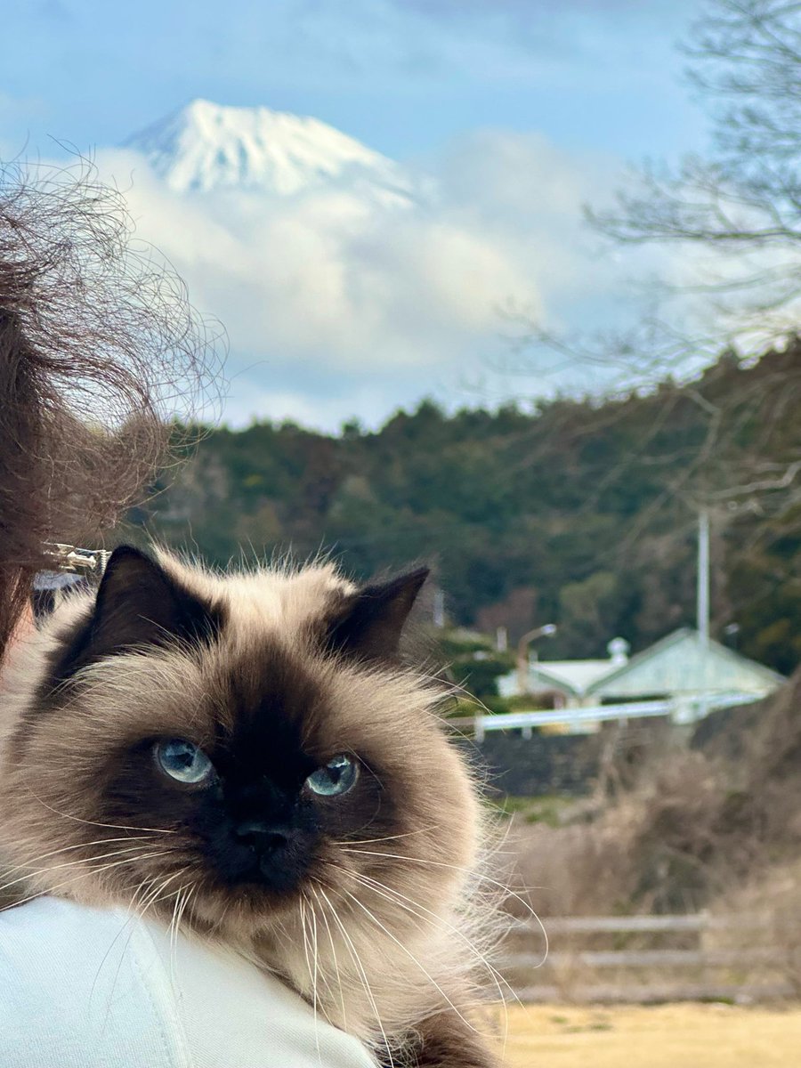 moka (@Moka0527Ramu) / Posts / X