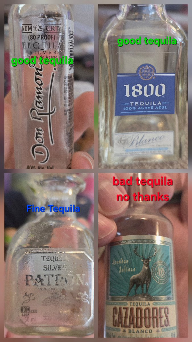 Meg: Untameable Shrew tweet media