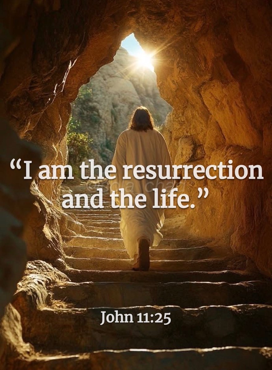 𝕊𝕠𝕝𝕒 ℂ𝕙𝕒𝕕 🎚️ (@sola_chad) on Twitter photo 