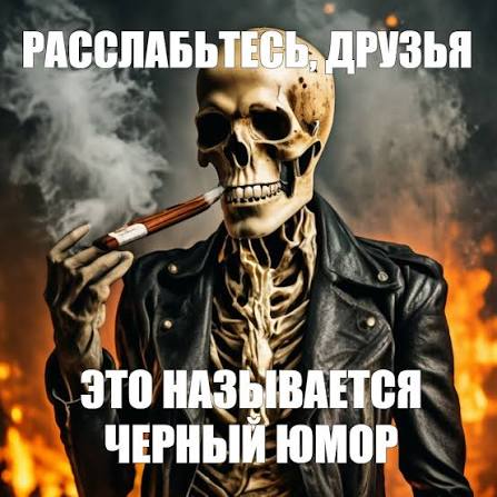 ∽ tweet media