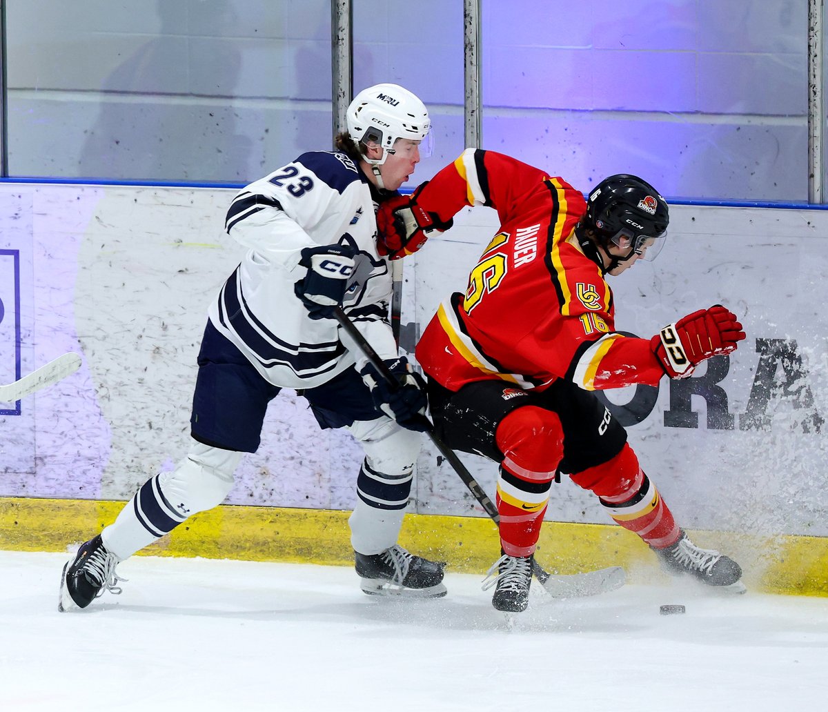 DinosMHKY's tweet photo. Here and Now. 

#GoDinos https://t.co/dnEtenDI75