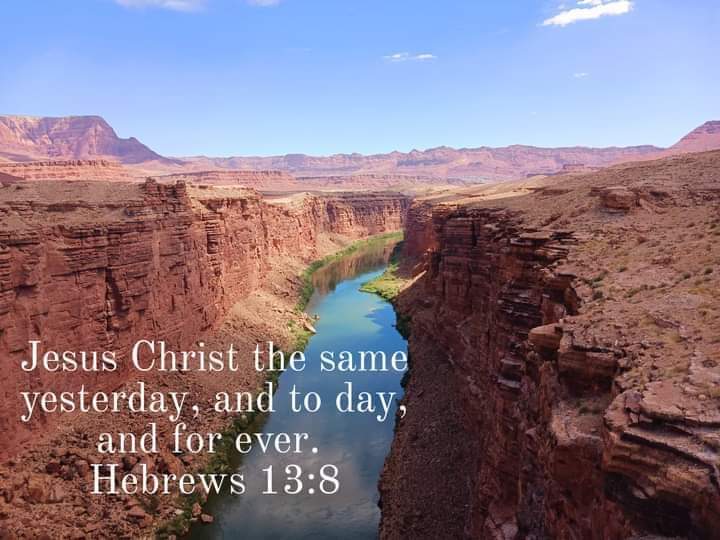 Tracy Killinger 🇺🇸 tweet media