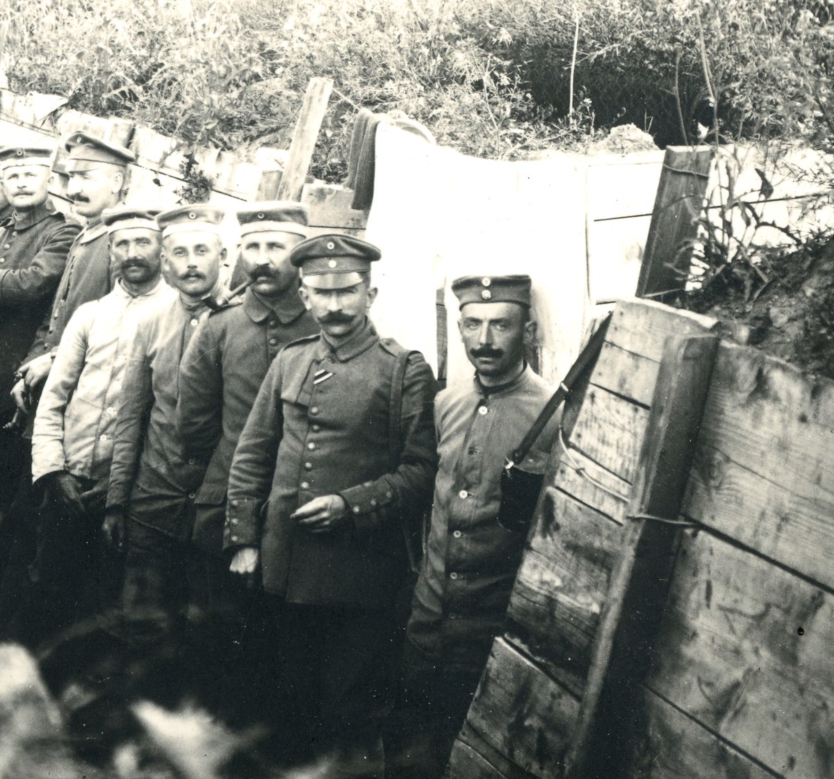 Canadian & British Photos & Postcards tweet media