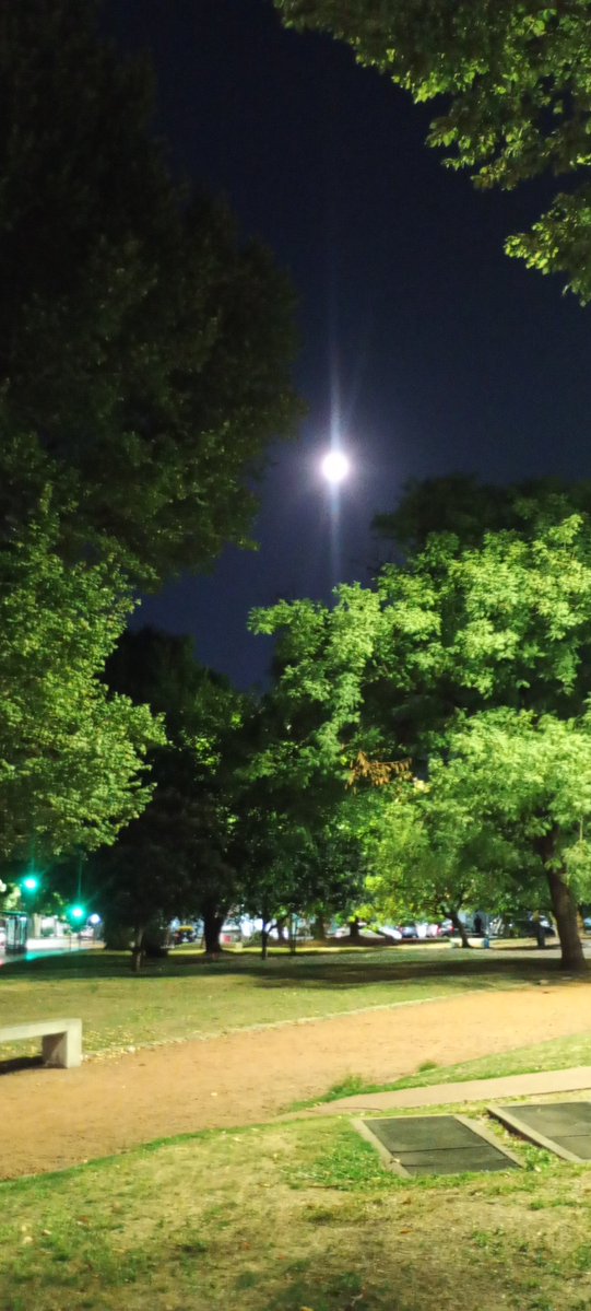 emilse susana luchetti lopez (@emilsesu88) on Twitter photo 