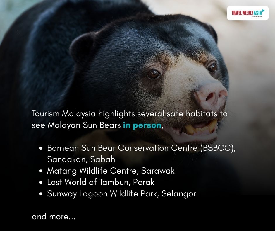 Travel Weekly Asia tweet media