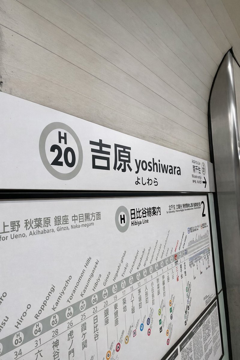 kimuraの散歩🚶‍♀️ tweet media